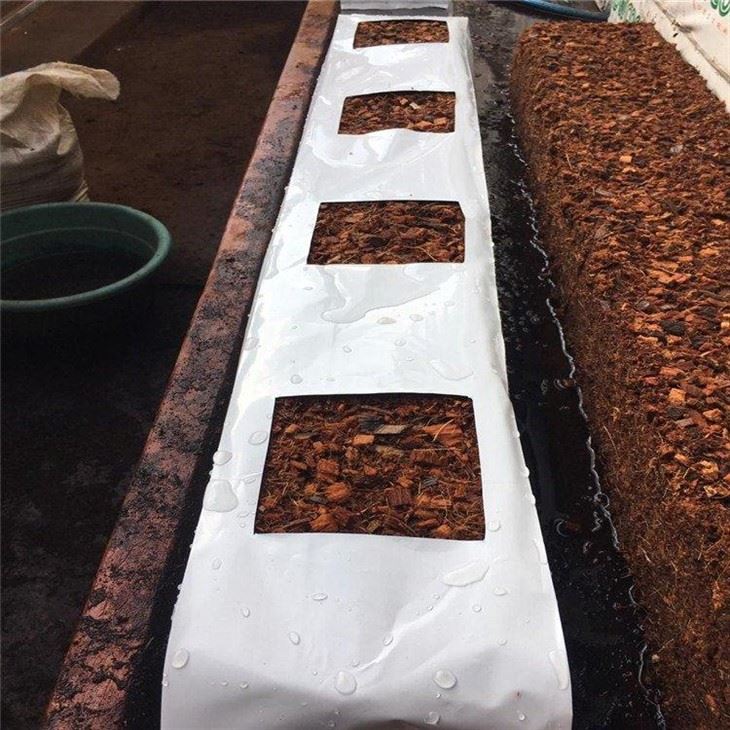 Substrate Culture System suppliers