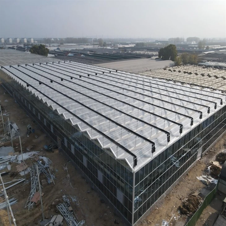 Venlo Glass Greenhouse best