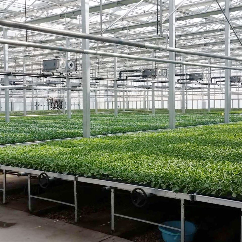 Ebb And Flow Seedbed